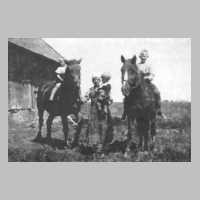 079-0047 Frau Lewerenz mit ihren Kindern Armin, Manfred, Reinhard hinter der Scheune ihres Anwesens auf der Pferdekoppel.JPG
